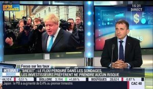Brexit: la sortie du Royaume-Uni de l'UE "aurait un impact très significatif sur nos échanges commerciaux", Xavier Chapon - 18/05
