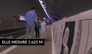 Lyon bat le record de la BD la plus longue du monde