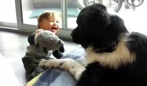 Ce bébé rigole sans s'arrêter en jouant avec un énorme chien