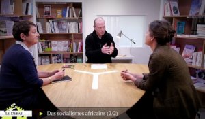Socialismes en Afrique 2/2 : Tanzanie + Bénin