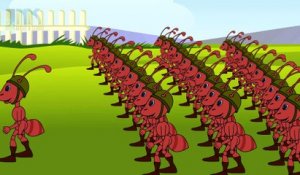 The Army Ants | Nursery Rhymes | Children Songs | English Nursery Rhymes