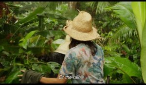 Struggle for Life / La Loi de la jungle (2016) - Trailer (English Subs)