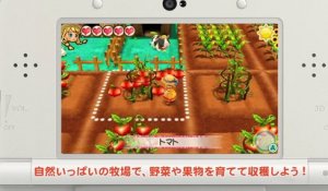Harvest Moon : Mitsu no Sato no Taisetsu no Tomodachi - Mirai Shida Demo Play