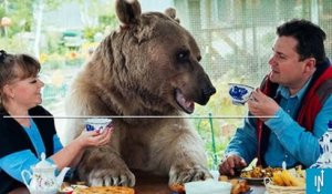 Ce couple russe a adopté un ours et vit avec depuis 23 ans