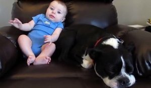 Quand un bébé fait caca dans son pyjama à la présence d'un chien..