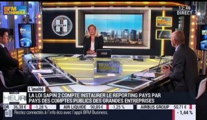 "La loi Sapin 2 est un moteur pour l'économie", Dominique Potier - 14/06