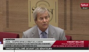 Vincent Bolloré : "C'est un amalgame particulier"