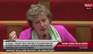 La question de la sénatrice Marie-Christine Blandin à Vincent Bolloré : Paratonnerre, fusible et censure