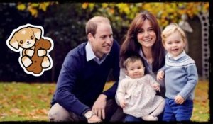 Kate Middleton et le prince William : La famille s’agrandit
