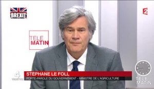 Les 4 vérités - Stéphane Le Foll - 20160624