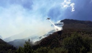 Incendie dans la vallée du Tavignani en Haute-Corse