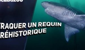 Un requin du Jurassique filmé dans les eaux profondes