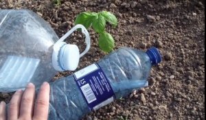 Avec cette technique plus besoin d'arroser votre jardin tous les jours et vous économiserez de l'eau !