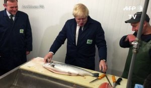 Boris Johnson renonce à succéder à David Cameron au poste de premier minsitre