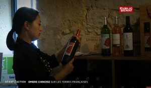 Ombre chinoise sur les terres françaises - Sénat en action (01/07/2016)