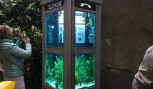 Cabine téléphonique aquarium du Voyage à Nantes