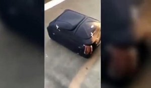 Des policiers suisses trouvent un migrant caché dans une valise...