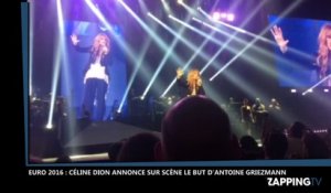 Euro 2016: Céline Dion annonce le but sur penalty d’Antoine Griezmann en plein concert (Vidéo)