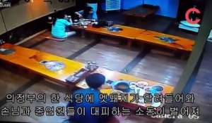 Un sanglier rentre dans un restaurant et détruit tout sur son passage