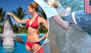 Esclavage des dauphins : on les envoie en Arizona pour nager avec des touristes