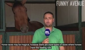 Ce reporter rate son direct à cause d'un cheval trop amical