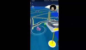 Il tombe dans l'eau en jouant à Pokemon Go