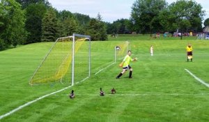 Un famille de canard se fait expulser d'un terrain de football !