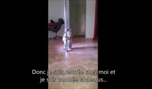 Elle rentre chez elle et tombe sur un Koala qui fait du Pole Dance...