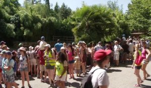 Le zoo d'Amnéville parade pour ses 30 ans