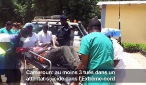 Cameroun: au moins trois civils tués dans un attentat-suicide
