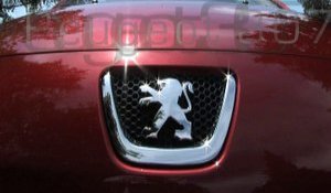 Peugeot 307 2.0 16v Féline : lionne de luxe