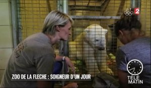 Faune - Zoo de la Flèche : soigneur d’un jour - 2016/07/29