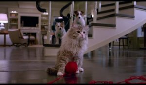 Ma vie de chat (2016)  Complet VF