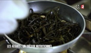 Santé - Les algues : un trésor nutritionnel - 2016/07/30