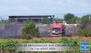 AGDE - CAP d'AGDE - 2016 - INCENDIE DE BROUSSAILLES - DEUX HECTARES  partent en fumée