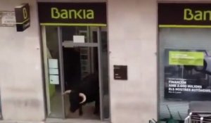 Un taureau s'incruste dans une banque en pleine corrida