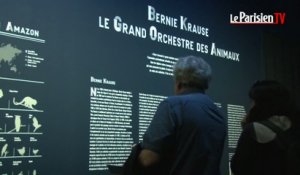 Symphonie des animaux à la Fondation Cartier