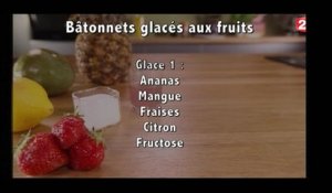 Gourmand - Bâtonnets glacés aux fruits - 2016/08/13