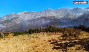 Haute-Corse : plus de 400 hectares détruits par les flammes à Barbaggio