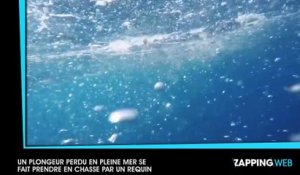 Un plongeur perdu en pleine mer se fait prendre en chasse par un requin (vidéo)