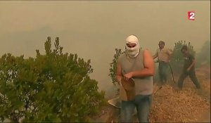 Portugal : des incendies ravagent le sud du pays