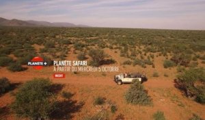Planète safari - Bonus web