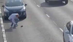 Sur une autoroute, un chaton sauvé par un conducteur