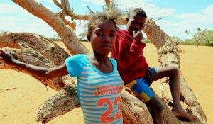 A Madagascar, la sécheresse menace la sécurité alimentaire