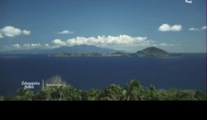 Guadeloupe, l'île de coeur - Echappées belles