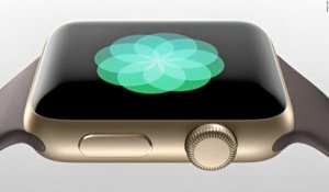 ORLM-239 : 11P - Apple Watch Series 2, quels sont les manques?
