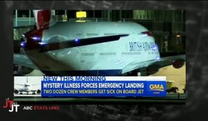 Limpressionnante Vue Du Ciel Dun Chien De Berger Qui