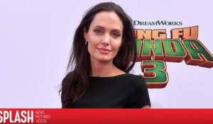 Angelina Jolie suit une thérapie familiale avec les enfants