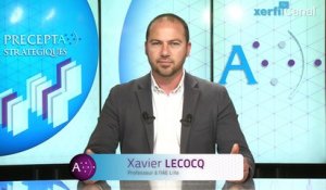 Xavier Lecocq, Les grandes entreprises peuvent-elles réinventer leur business model