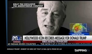 Elections américaines : Robert de Niro déclare vouloir donner un coup de poing dans la poire de Donald Trump (vidéo)